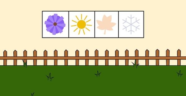 How to Grow Chamomile Outdoors Step 5 How to Grow Chamomile Outdoors Step 5