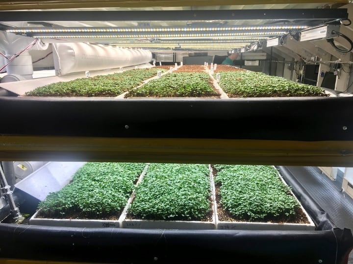 hydroponic microgreen system inn edenworks hydroponic microgreen system inn edenworks
