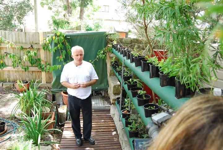 hydroponic pvc pipes vertical garden hydroponic pvc pipes vertical garden