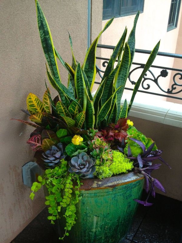 Indoor Gardening Summer Indoor Gardening Summer