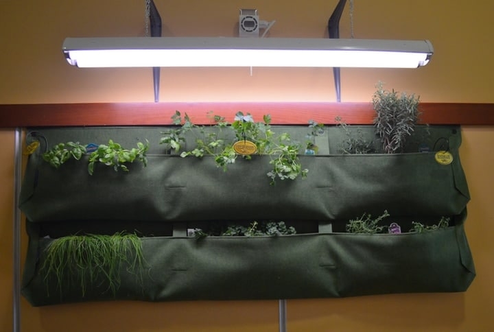indoor herb wall garden indoor herb wall garden