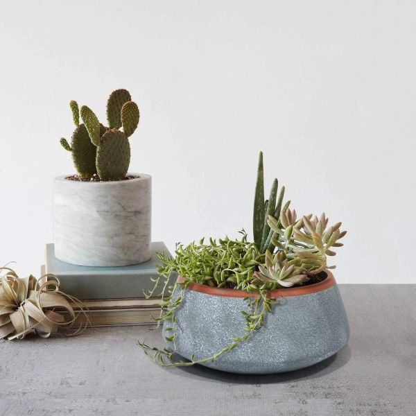 indoor plant stand indoor plant stand