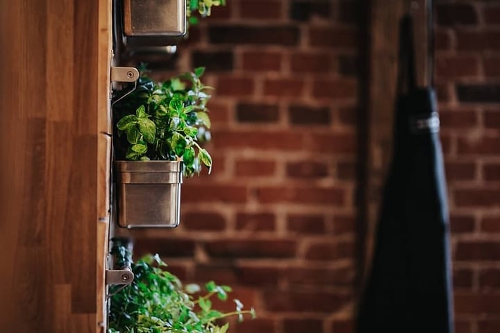 indoor wall garden indoor wall garden