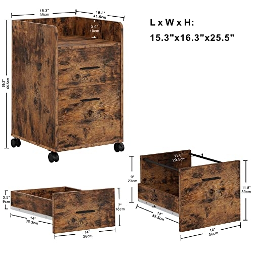 Industrial File Cabinet 2 Drawers on Wheels Black IRONCK Filing Cabinet Printer Stand with Shelf Hanging File Folders 