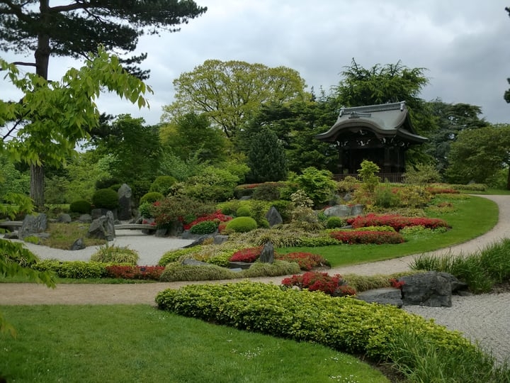 japanese garden featuring plants flowers and rocks japanese garden featuring plants flowers and rocks