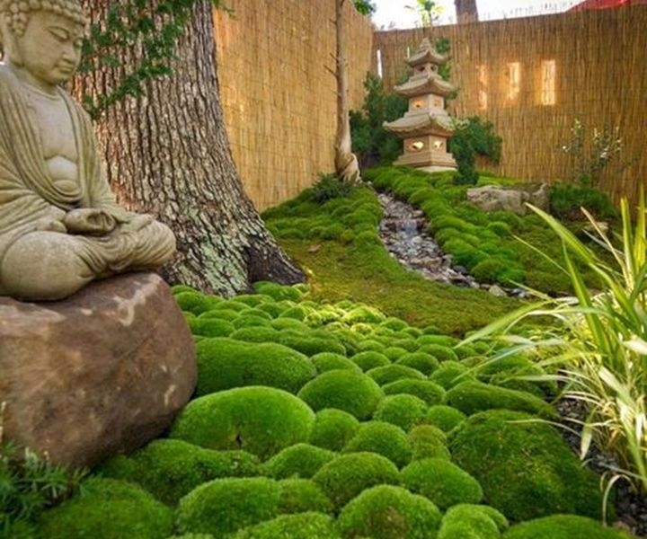 japanese gardens chicago japanese gardens chicago