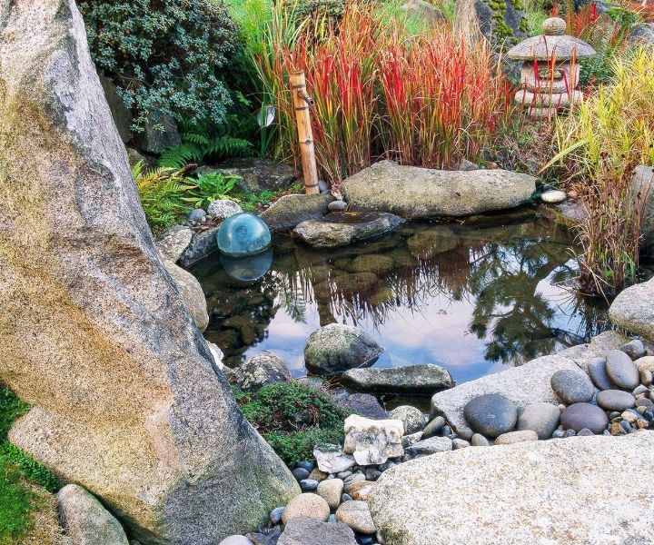 japanese gardens clearwater japanese gardens clearwater