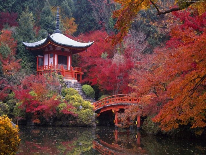 japanese gardens ideas japanese gardens ideas