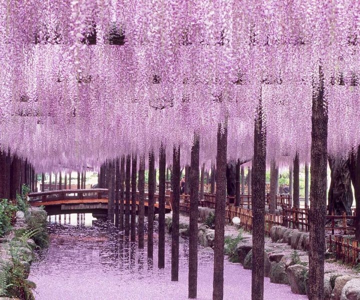 japanese gardens los angeles japanese gardens los angeles