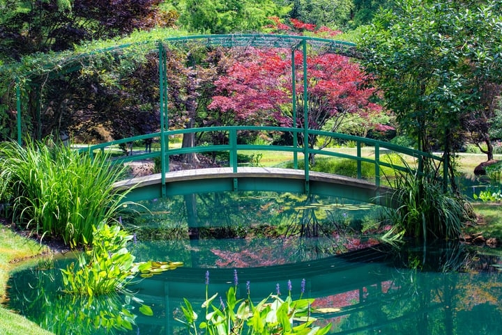 japanese water garden japanese water garden
