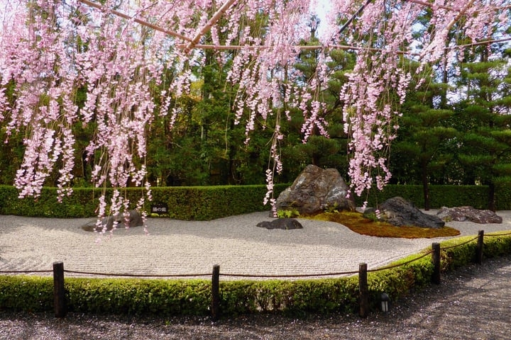 japanese wisteria garden japanese wisteria garden