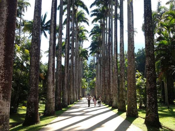 Jardim Botânico Jardim Botânico
