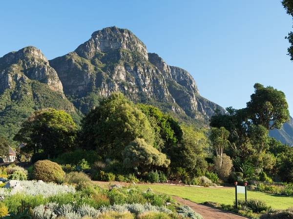 Kirstenbosch National Botanical Garden Kirstenbosch National Botanical Garden