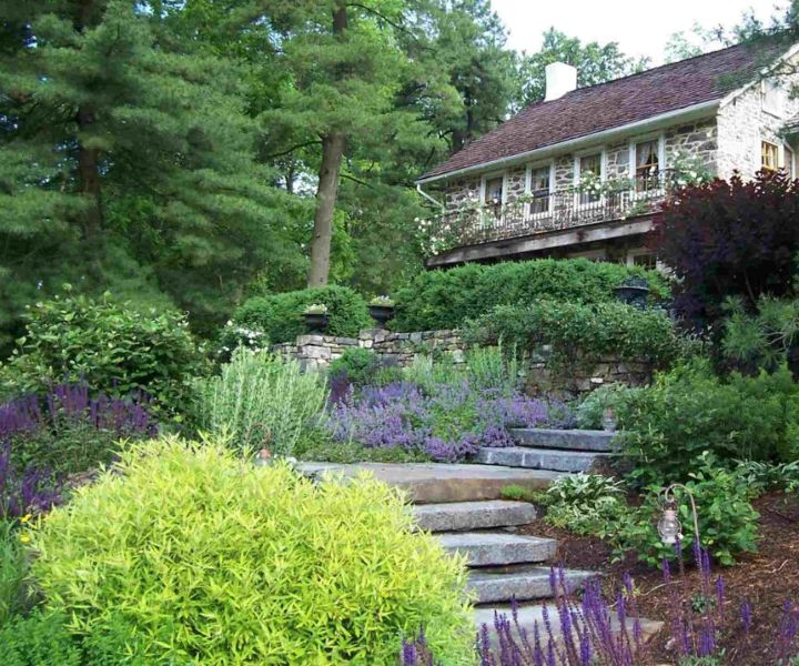 landscape and gardening services landscape and gardening services