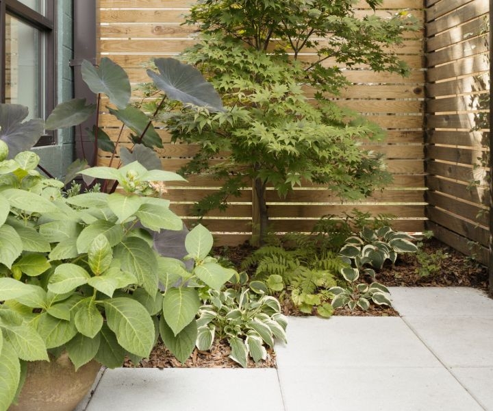 landscape and gardening landscape and gardening