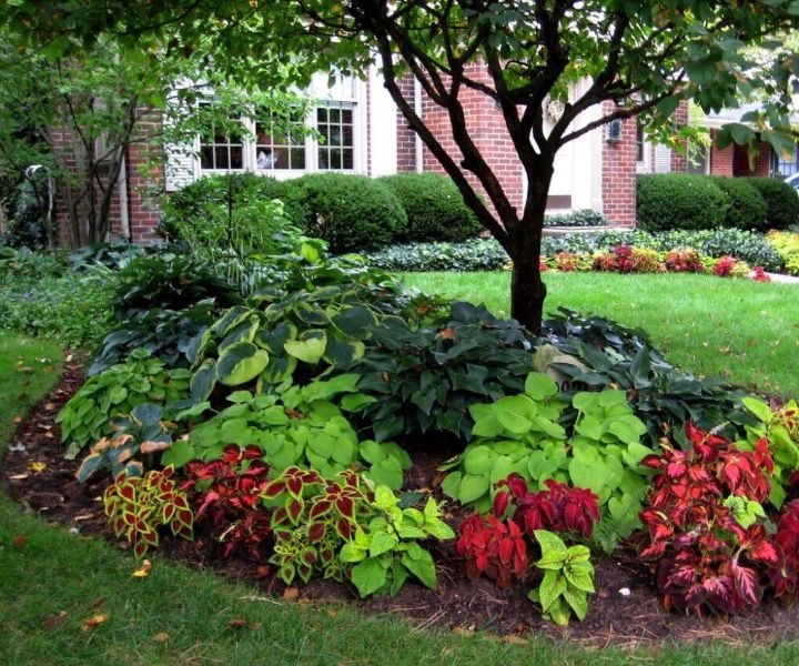landscape gardening services landscape gardening services