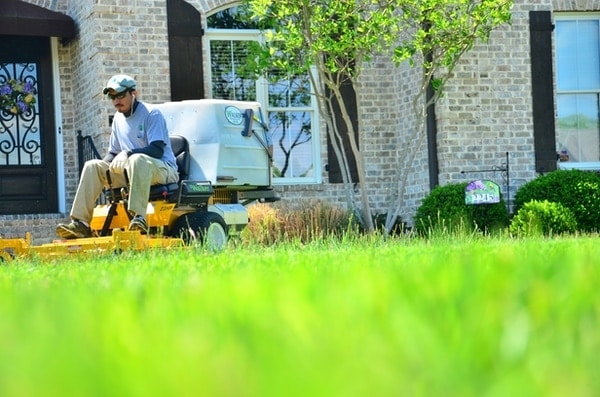 landscape services landscape services