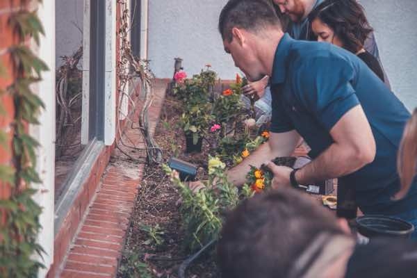 landscaping ideas diy landscaping ideas diy