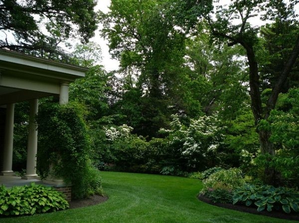 Landscaping Ideas For Backyards Landscaping Ideas For Backyards