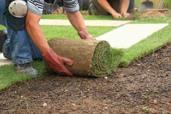 landscaping services 1 landscaping services 1