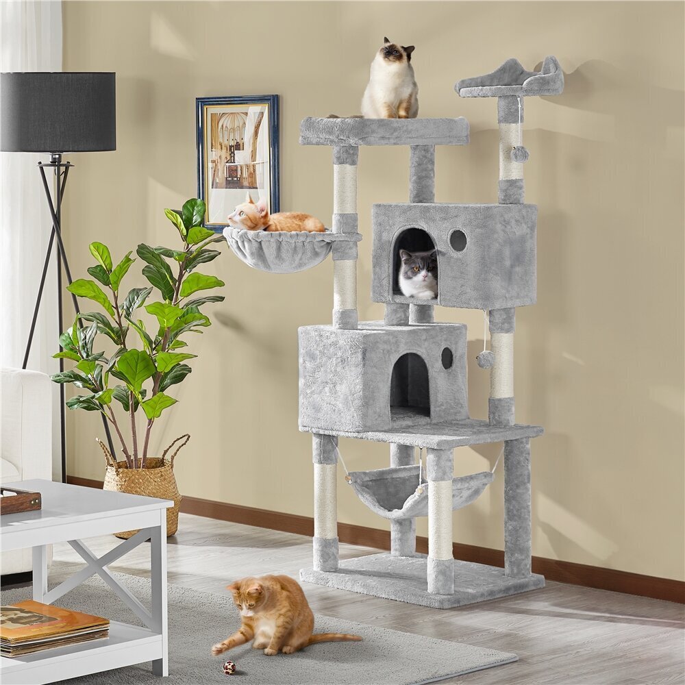 Large cat condo with plenty of features