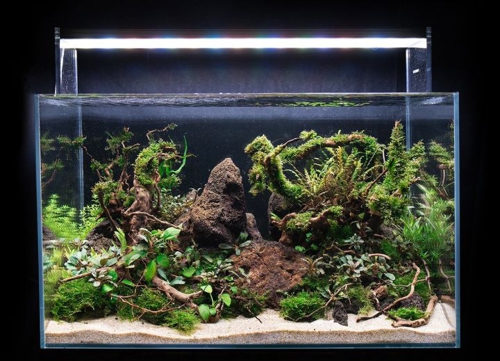 rock aquarium setup