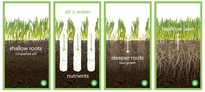 lawn aeration explained