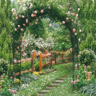 Garden Arch Trellis - Foter