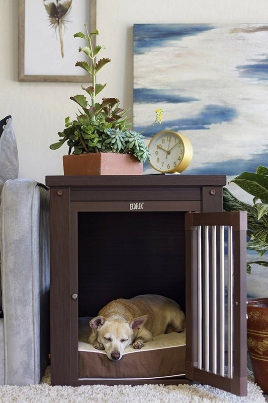 Littell Pet Crate