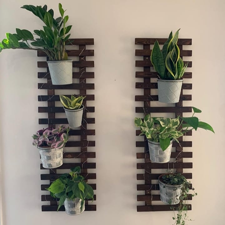 living plant wall with pallet support living plant wall with pallet support
