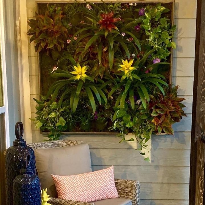 living space planted wall living space planted wall