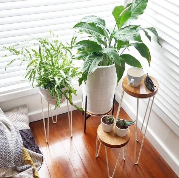 Metal Plant Stand Metal Plant Stand