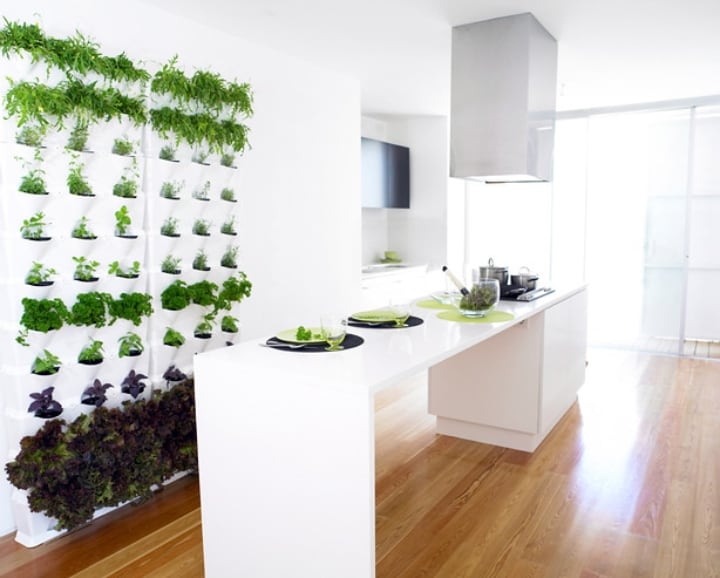 minimalist indoor wall vertical garden minimalist indoor wall vertical garden