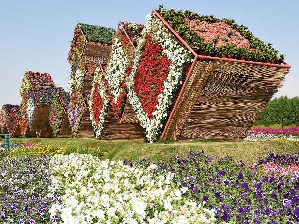 Miracle Garden Miracle Garden
