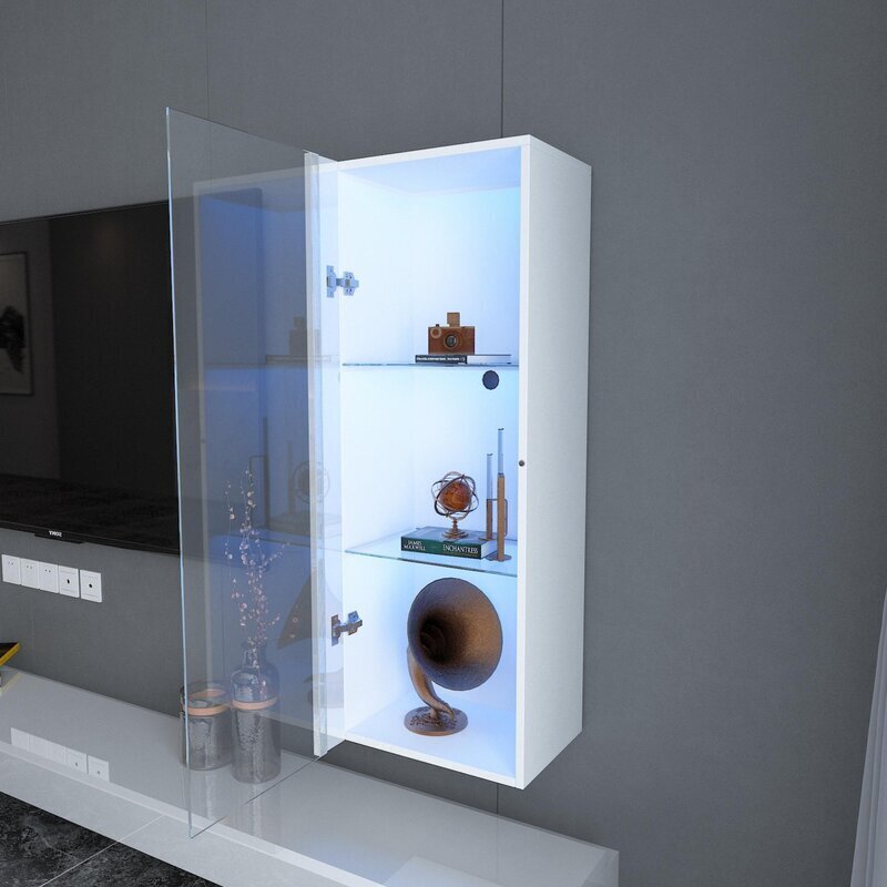 Modern Display Cabinet With LED Lighting