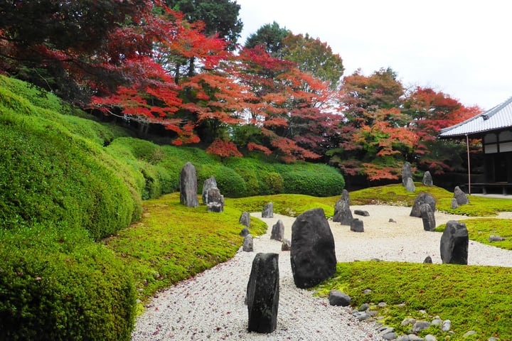 moss garden in japan