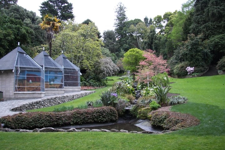 napier botanic garden napier botanic garden