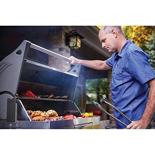 Napoleon PRO605CSS Professional Charcoal Grill, Stainless Steel