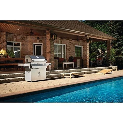 Napoleon PRO605CSS Professional Charcoal Grill, Stainless Steel