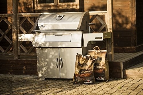 Napoleon PRO605CSS Professional Charcoal Grill, Stainless Steel