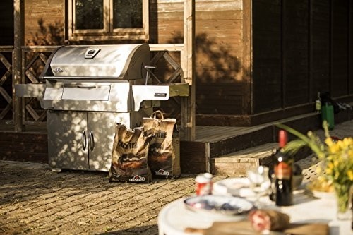 Napoleon PRO605CSS Professional Charcoal Grill, Stainless Steel