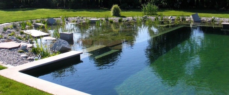 natural swimming pools landscaping design natural swimming pools landscaping design