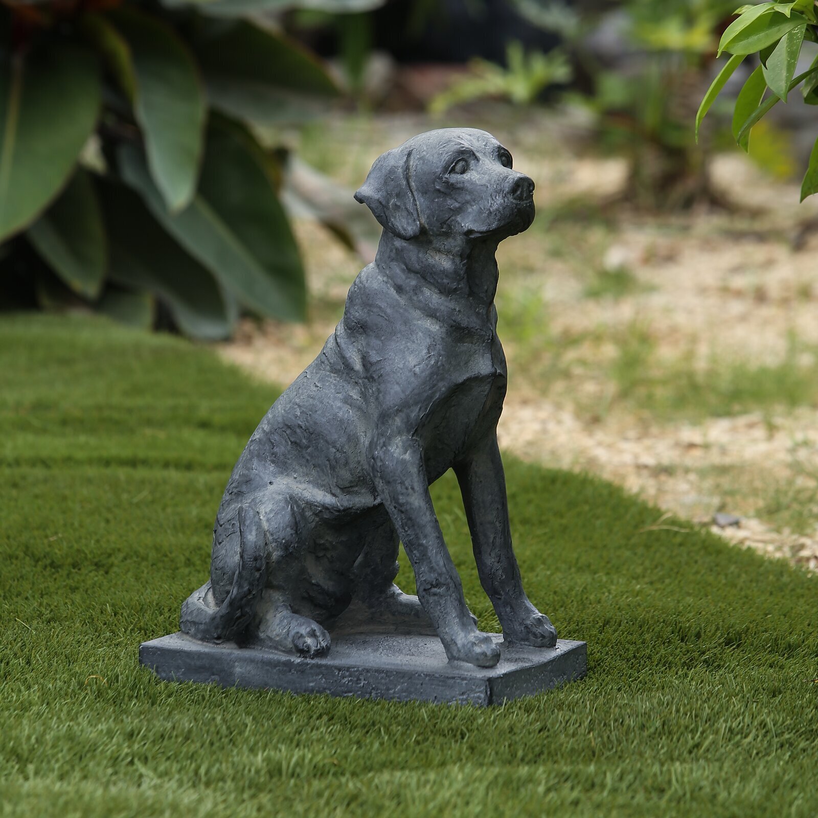 Neutral Gray Labrador on a Thick Base of Honor