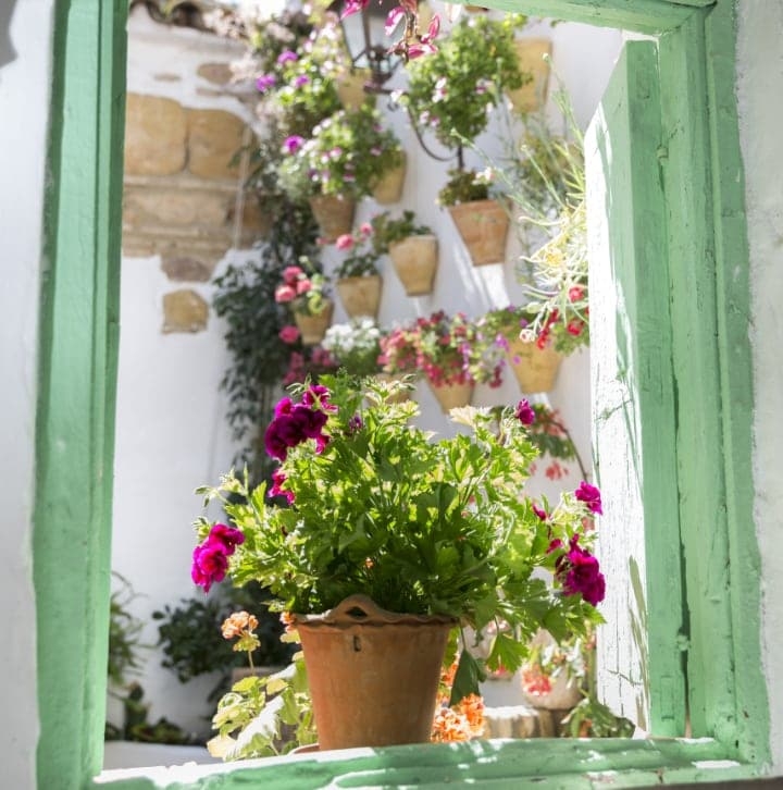 outdoor plant wall outdoor plant wall