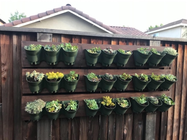 outdoor planted wall fence outdoor planted wall fence
