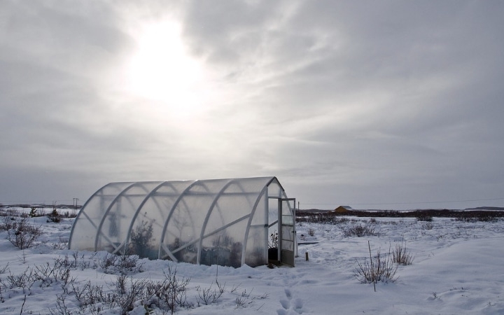 outside a greenhouse in winter outside a greenhouse in winter
