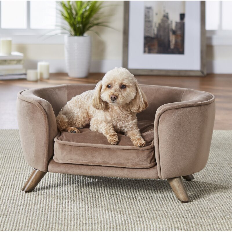 Oval Lifted Luxuriously Soft Small Dog Lounge
