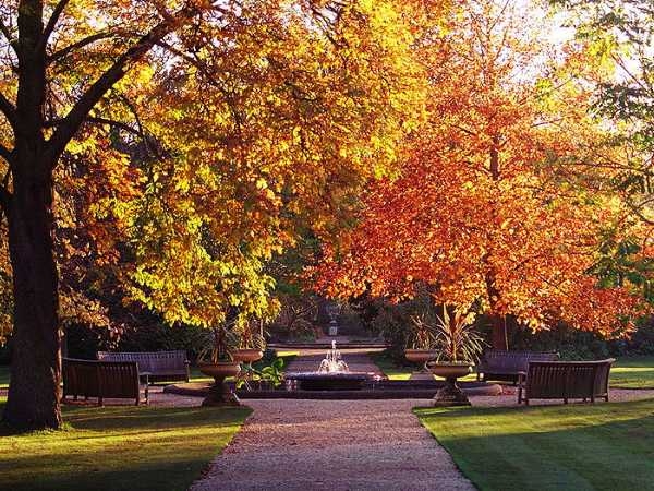 Oxford Botanic Garden Oxford Botanic Garden