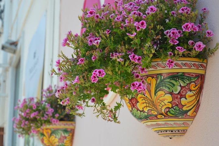 painted planter garden white wall ideas painted planter garden white wall ideas