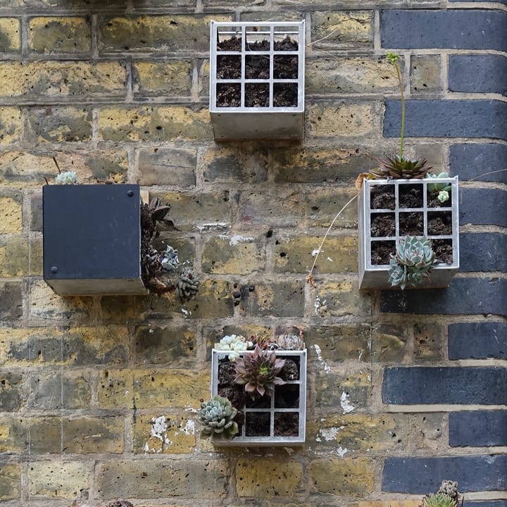 pallet succulent wall garden pallet succulent wall garden